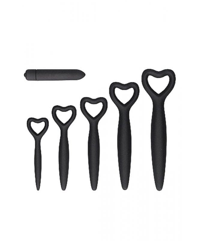 Dilatorsett med bulletvibrator