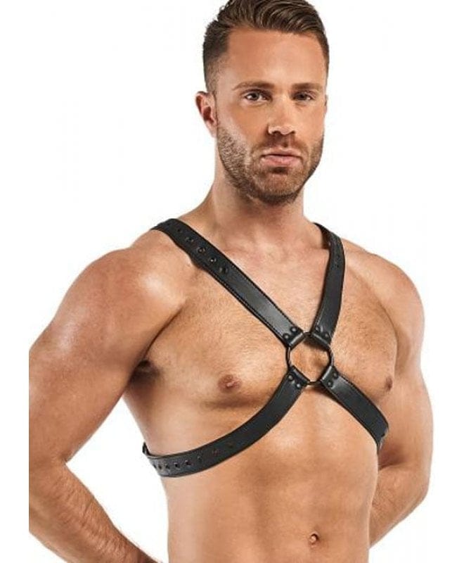 Bedroom Fantasies Lionel Bondage Harness