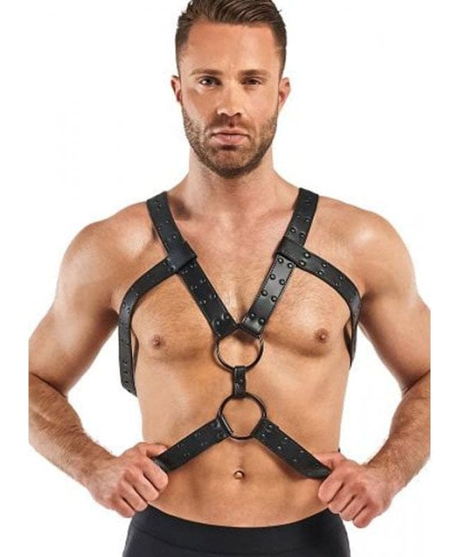 Bedroom Fantasies Rocco Bondage Harness