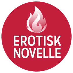 Erotisk novelle